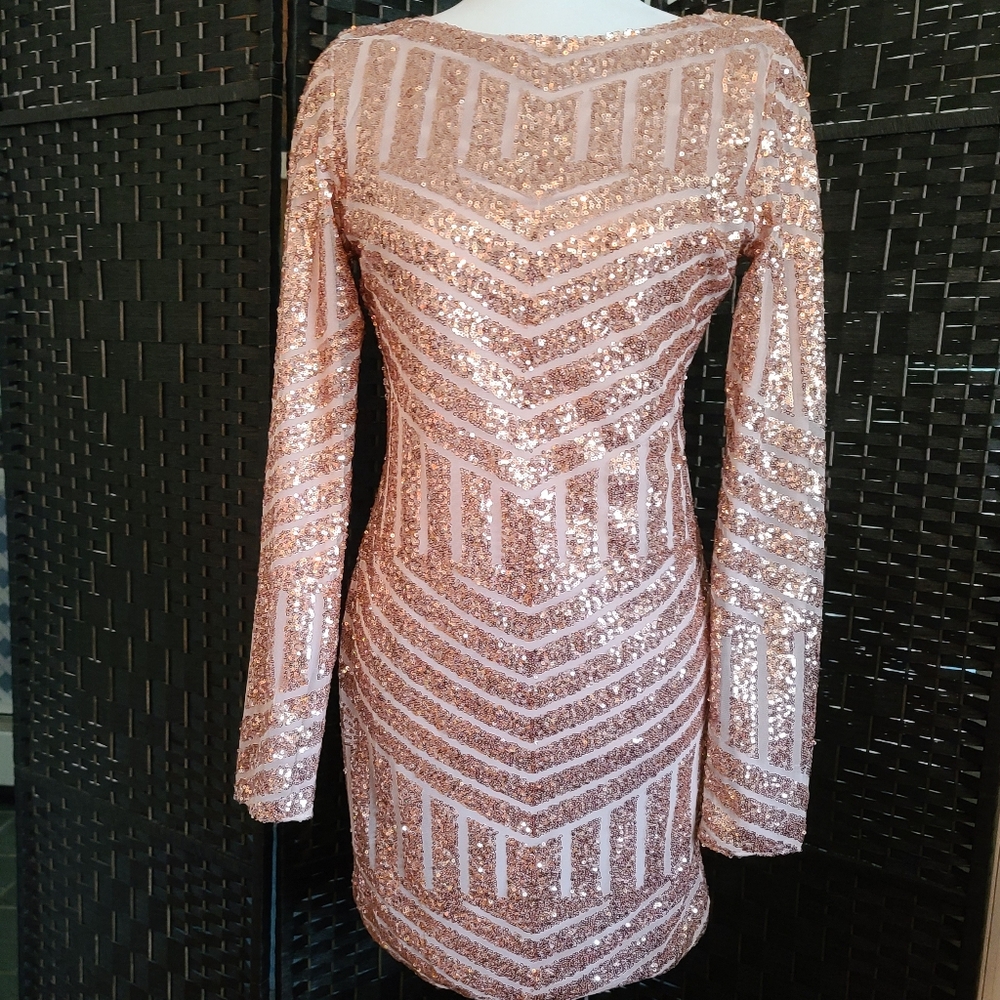 Rose Good Sequin Dress